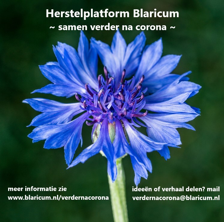 Beeld Herstelplatform